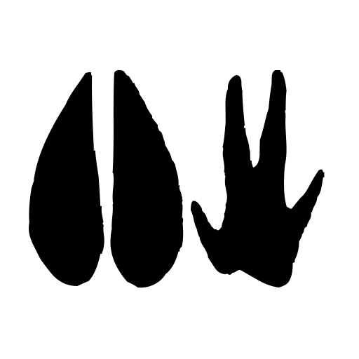AnimalTracks Font preview