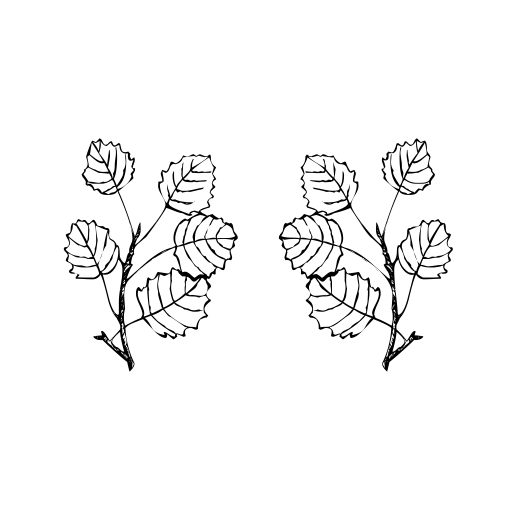 ArborisFolium Font preview