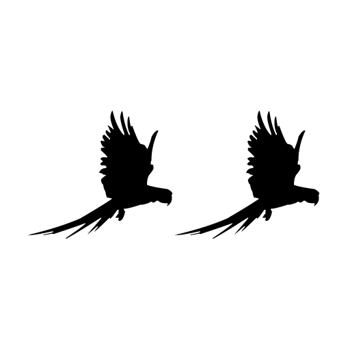 Birds TFB Font icon