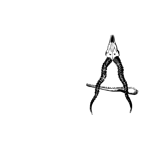 bones and chimeras Font icon