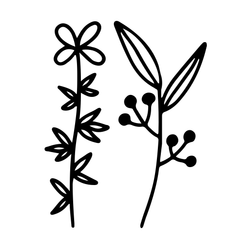 Botana Font preview