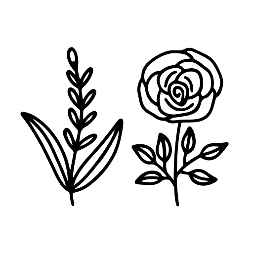 Botani Font preview