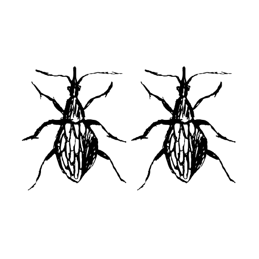 Buggys Font icon