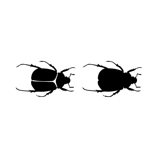 ChileanBugs Font icon