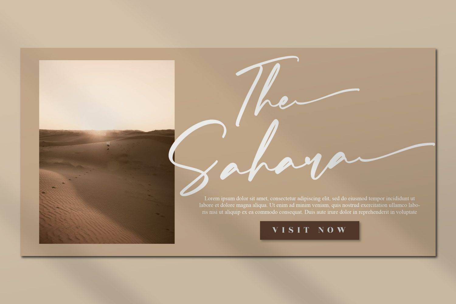 Abigaila Signature Font sample