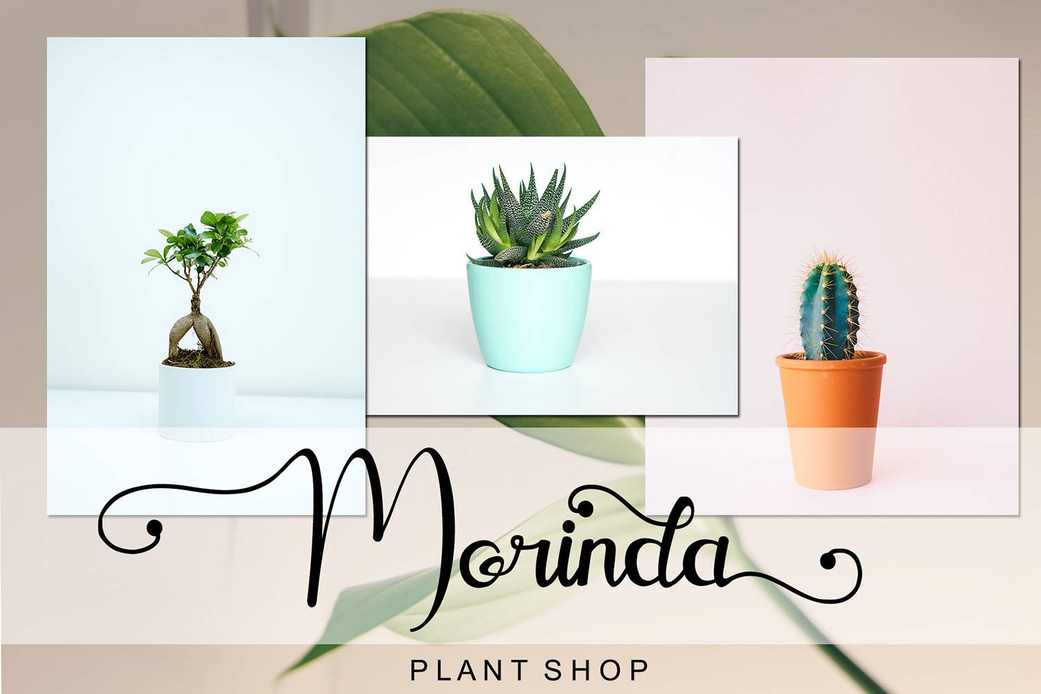 Agathis Font sample