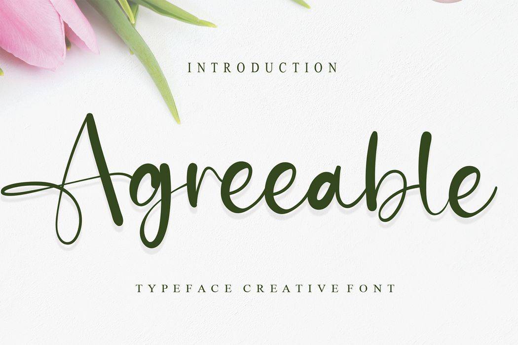 Agreeable Font sample