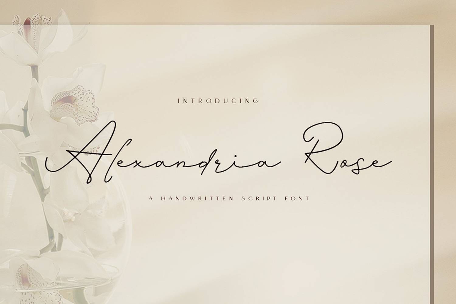 Alexandria Rose Font sample