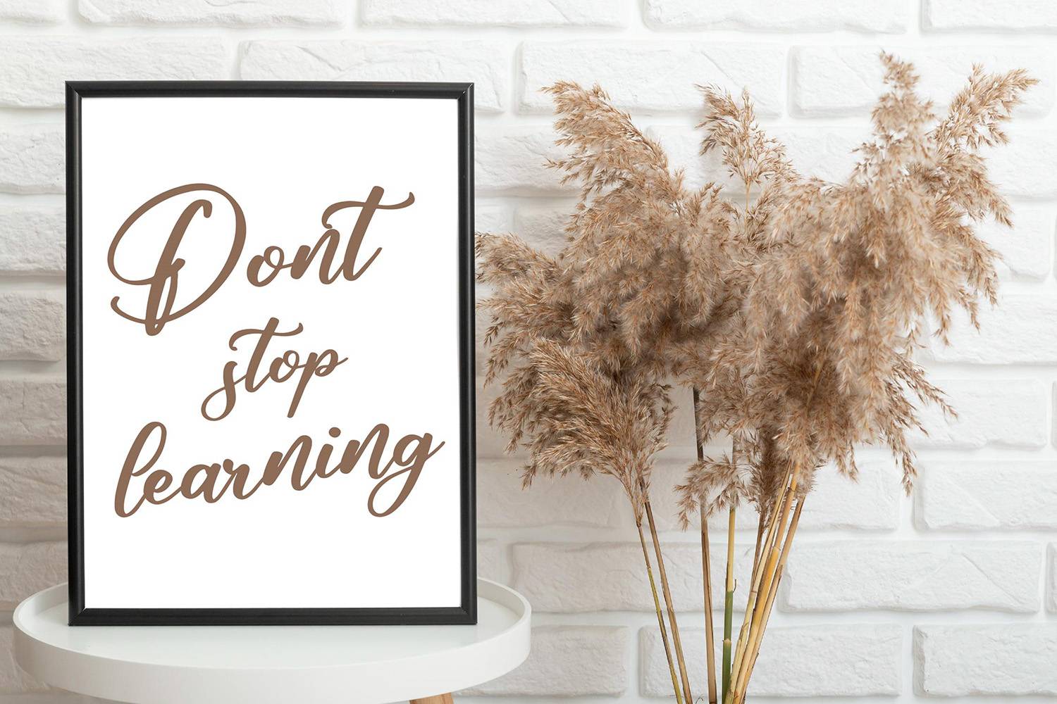 Alisha Cintia Font sample