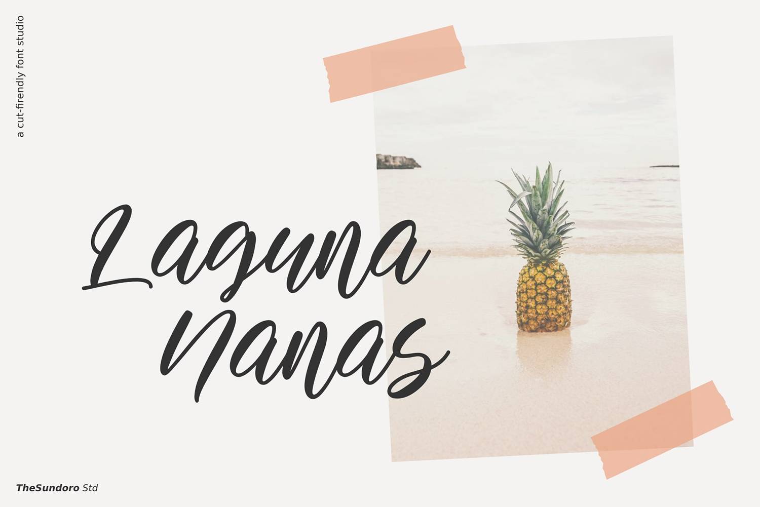 Allietta Font sample