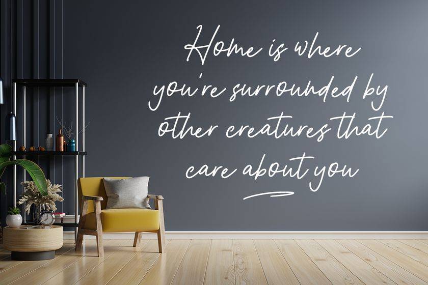 Allvienta Font sample