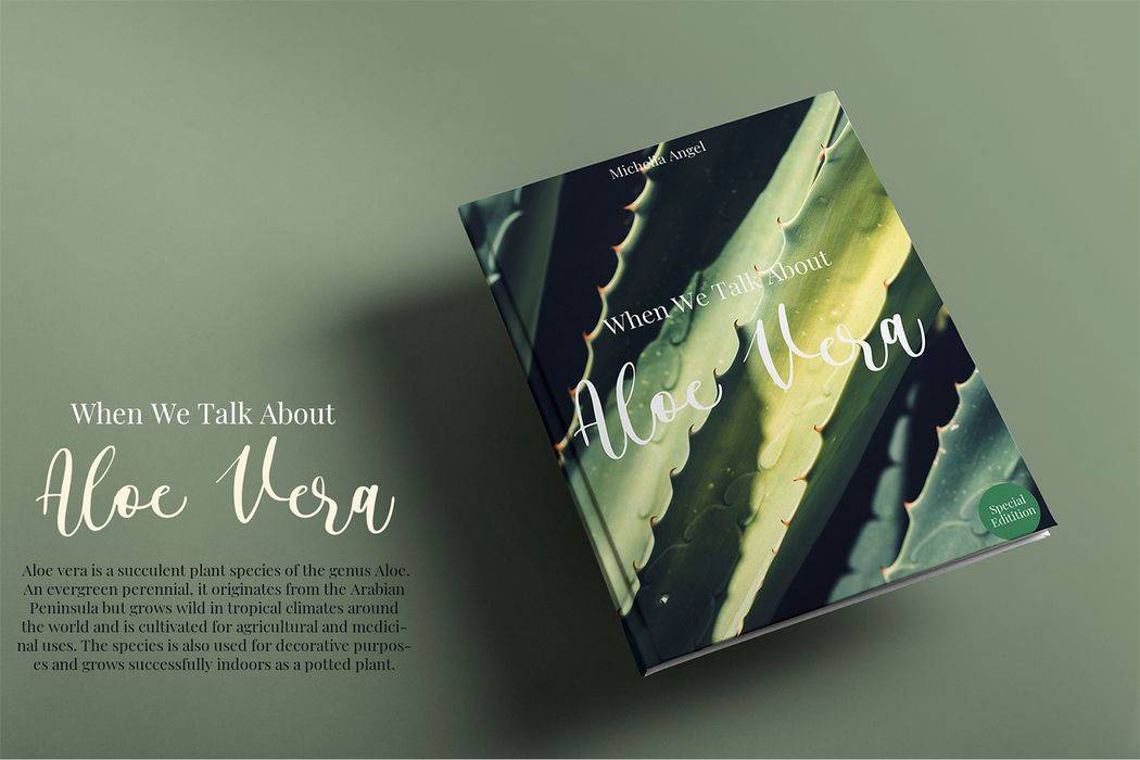 Alyssa Calligraphy Font sample