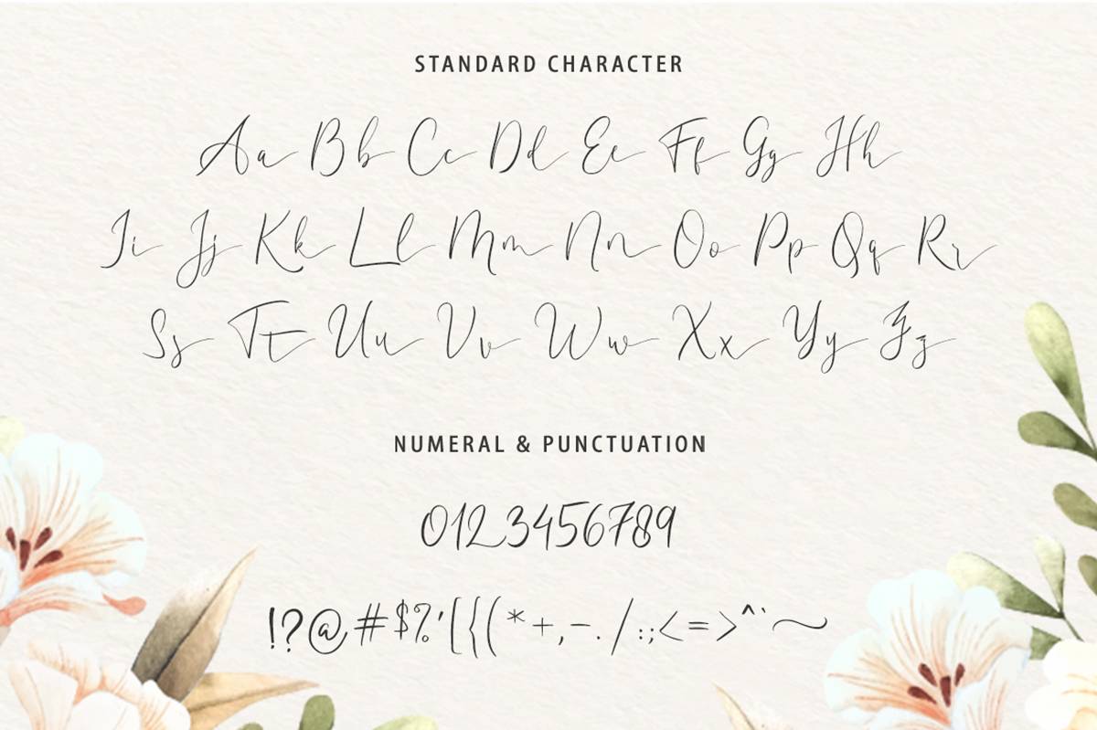 Amadela Script Font sample