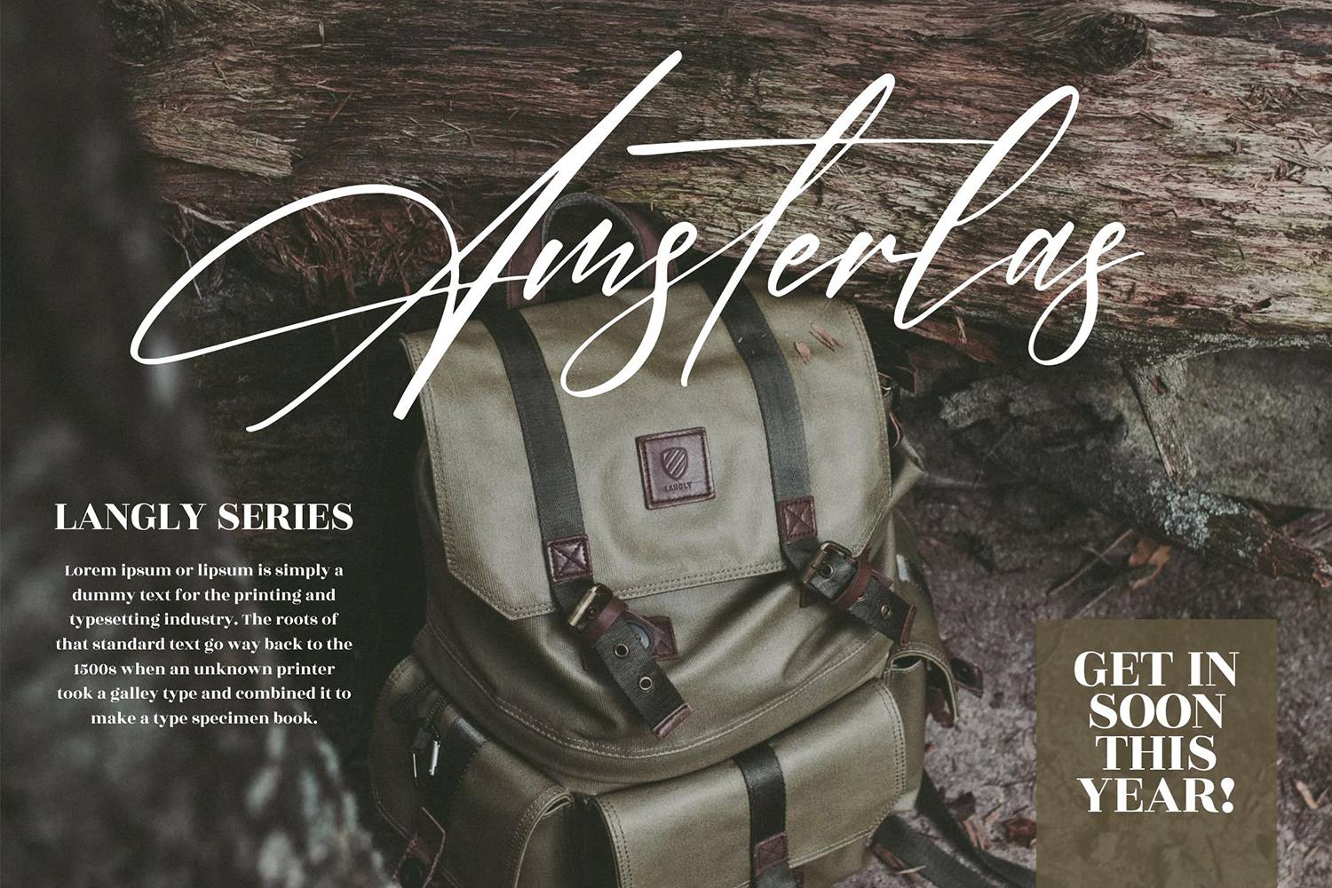 Amsterdam Signature Font sample
