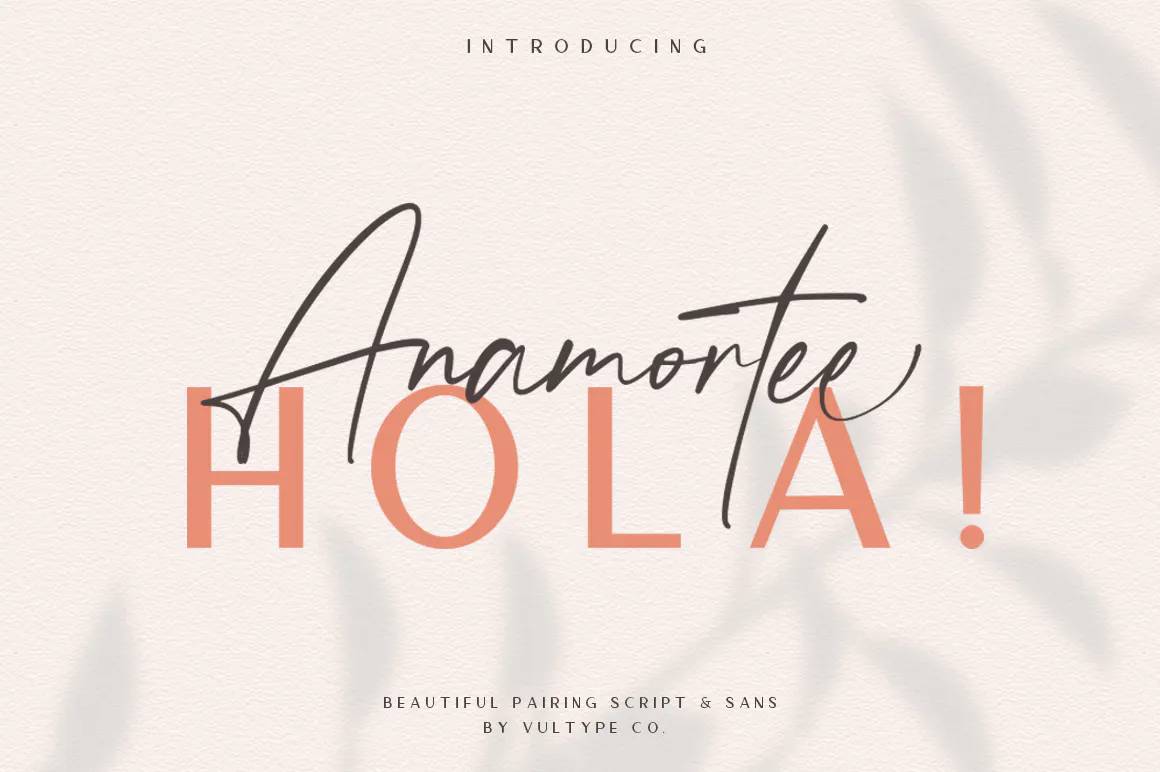 Anamortee Modern Calligraphy Font sample