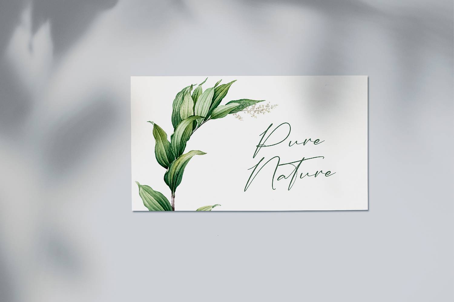 Anastasia Timothy Font sample