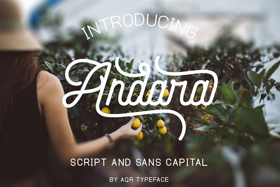 Andara Script Demo Font sample