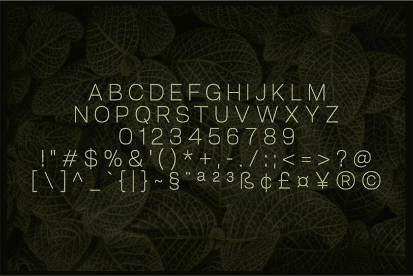 Annchi Font sample
