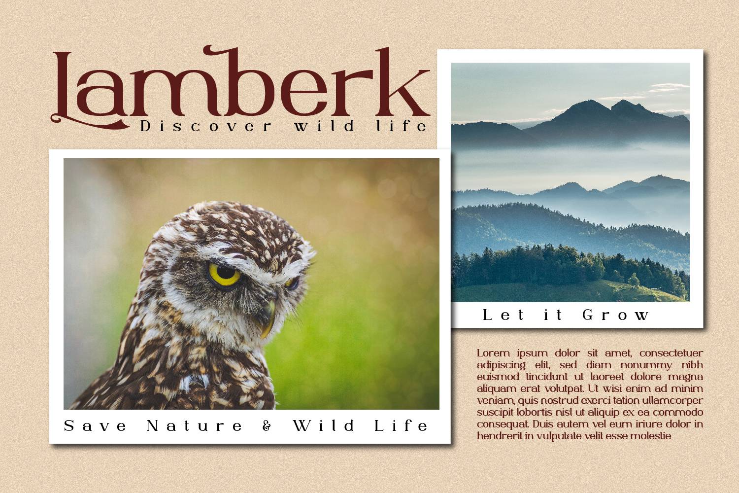 Ante Cf Serif Font sample