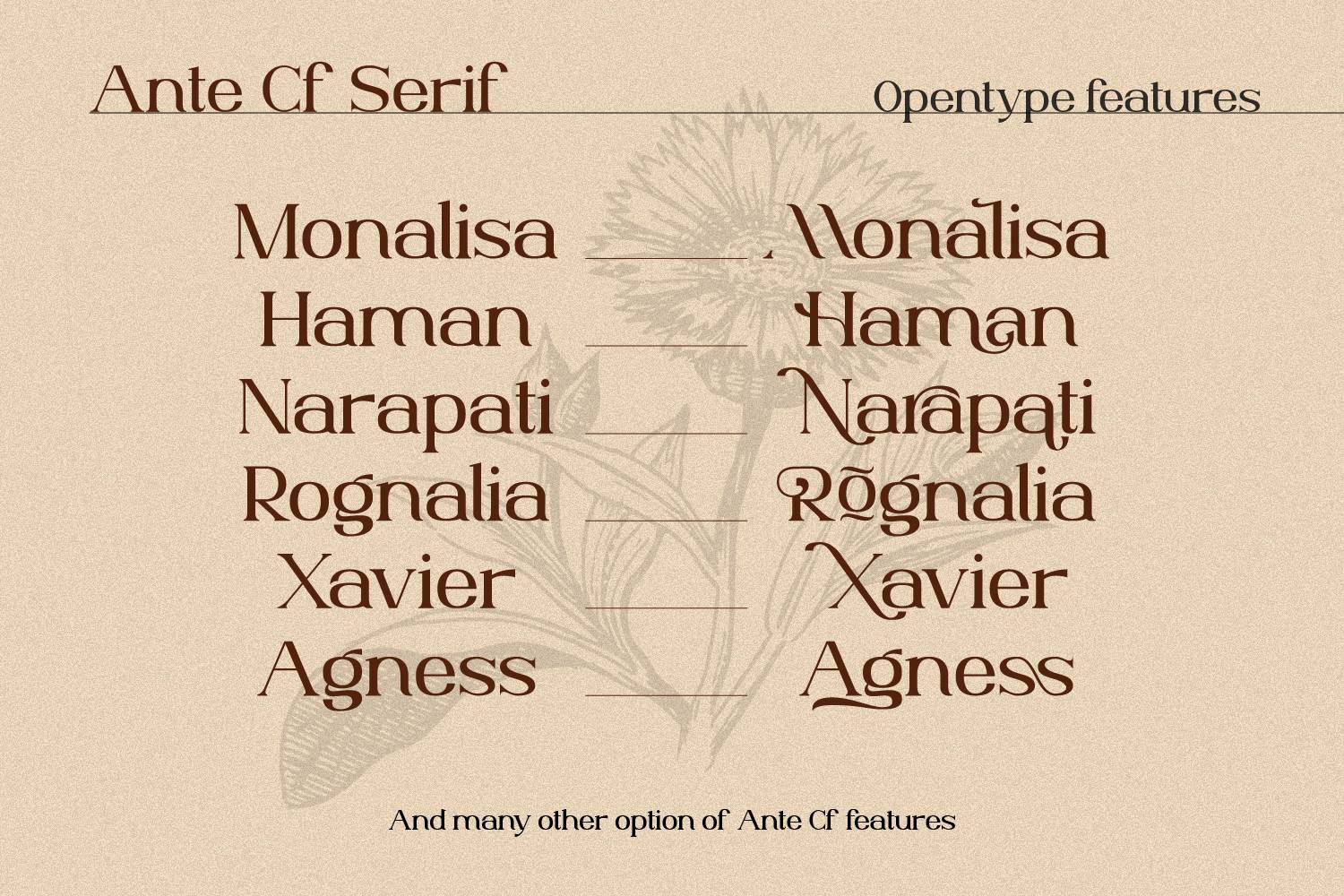 Ante Cf Serif Font sample