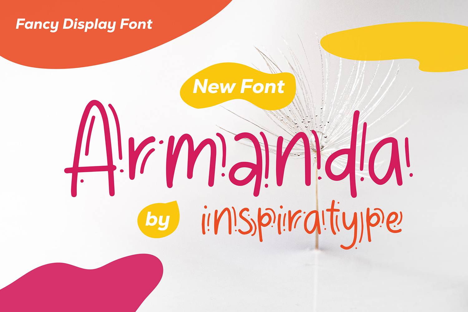Armanda Font sample