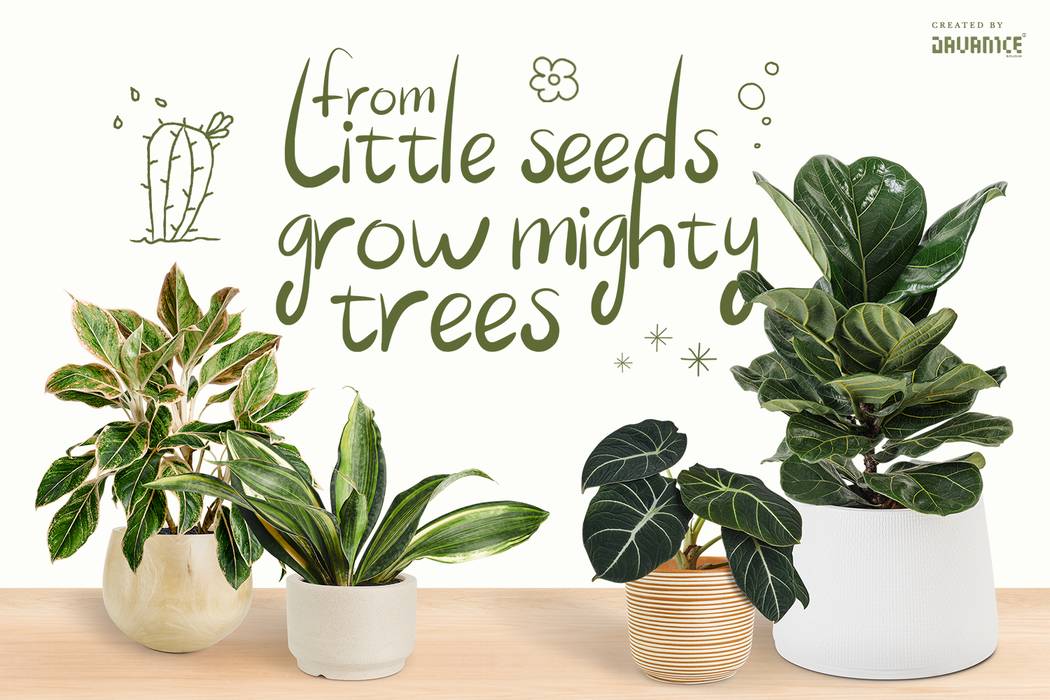 Astaliaya Font sample