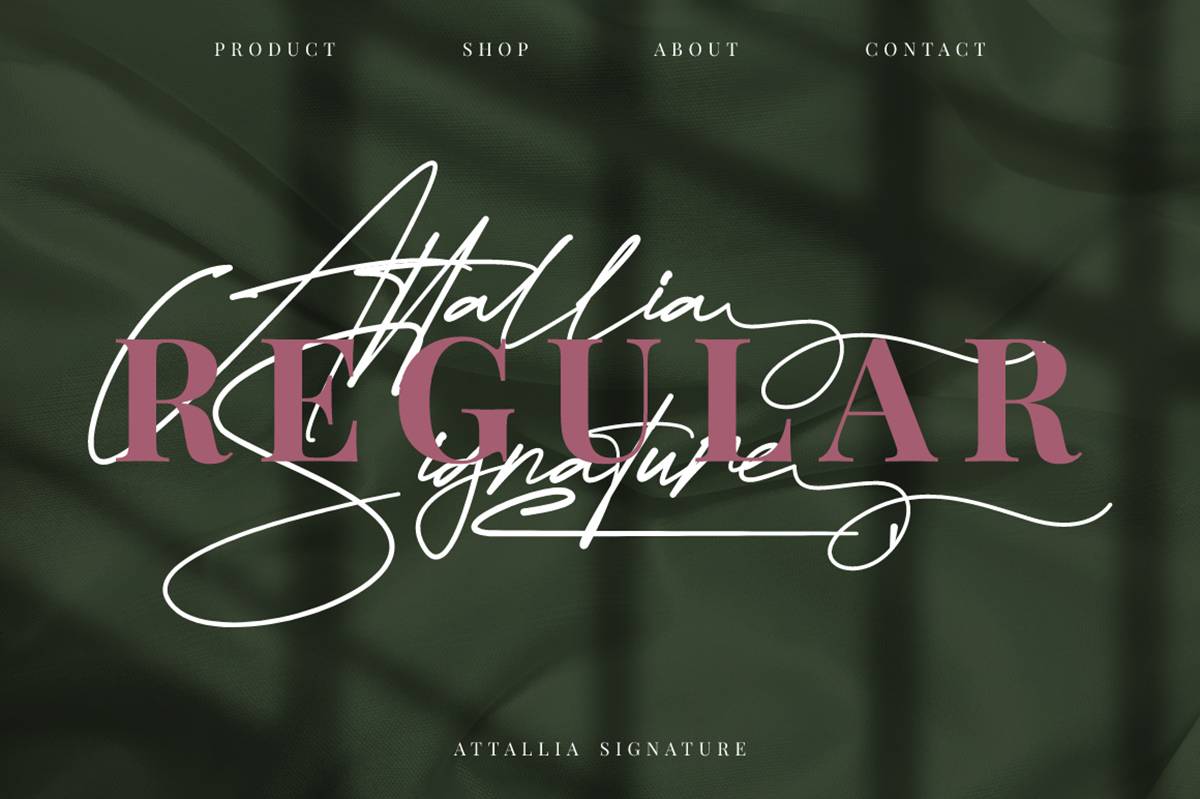 Attallia Signature Font sample
