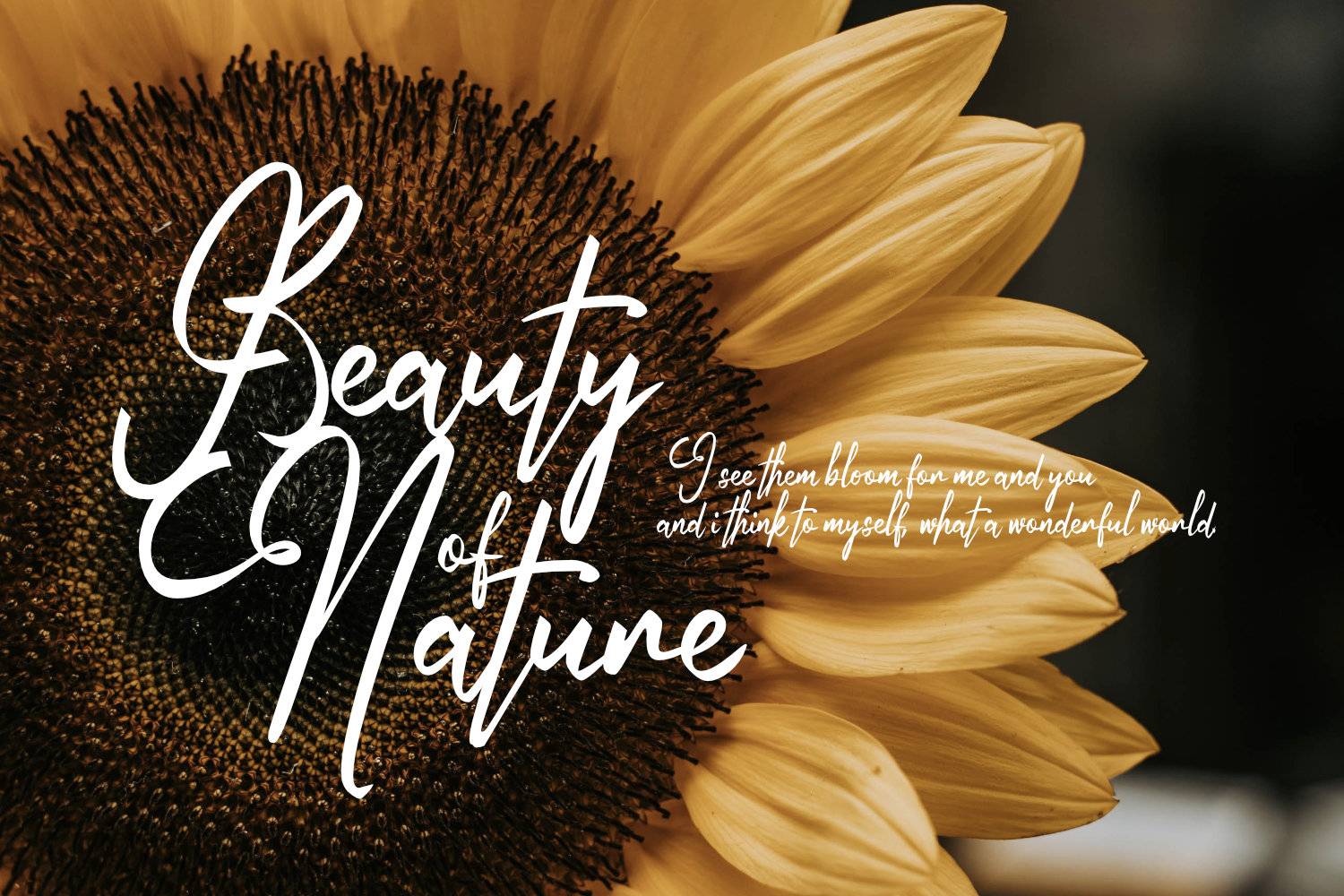 Autumn Field Font sample