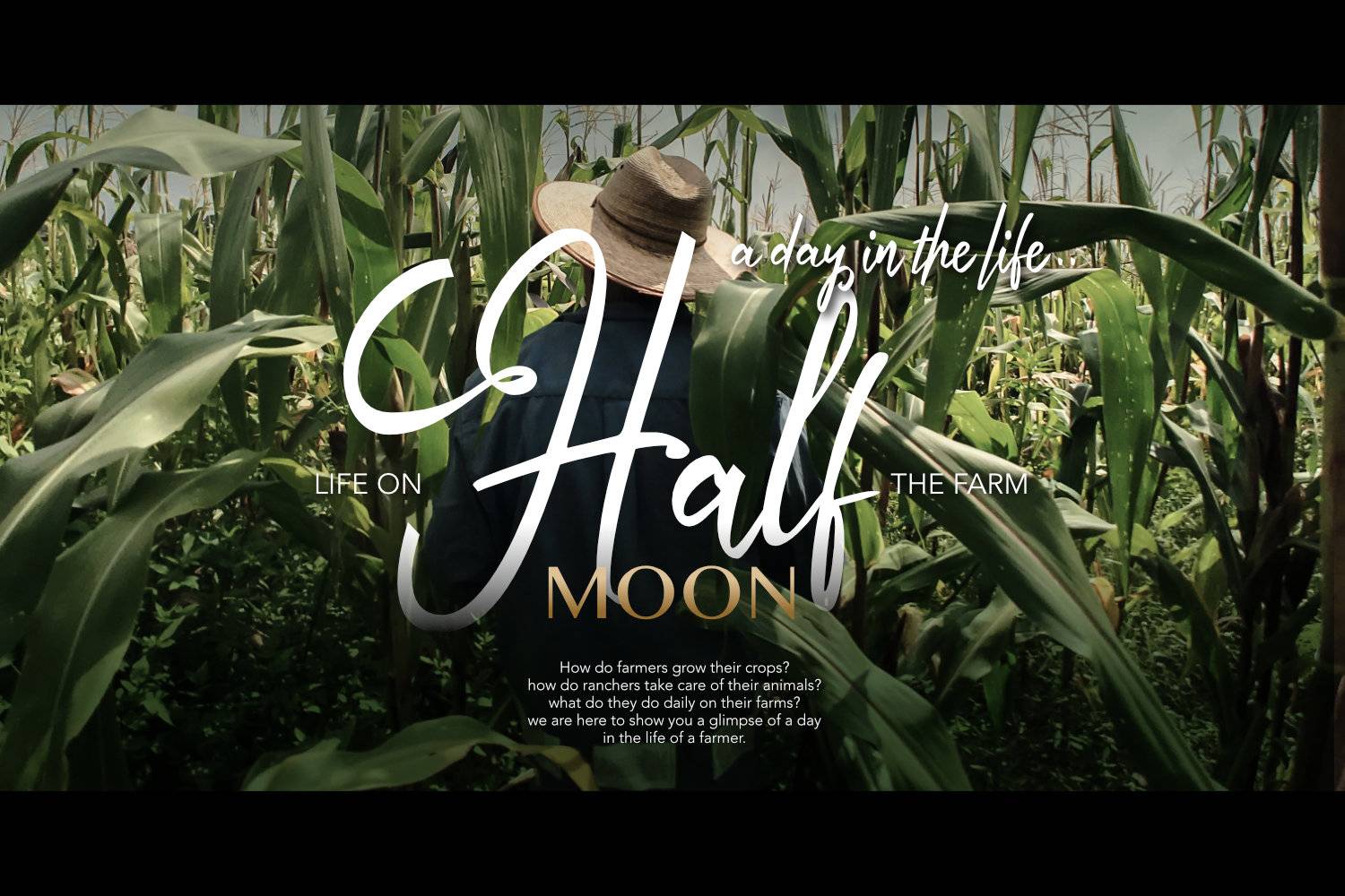 Autumn Field Font sample