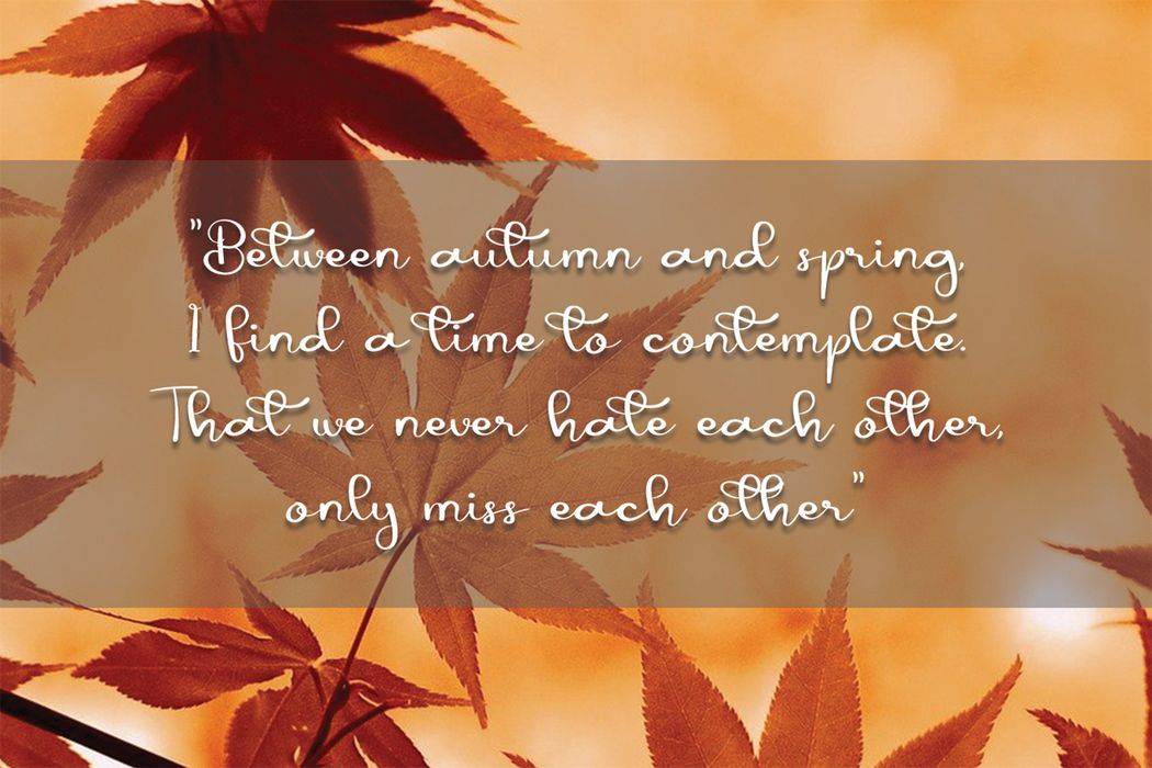 Autumn Font sample