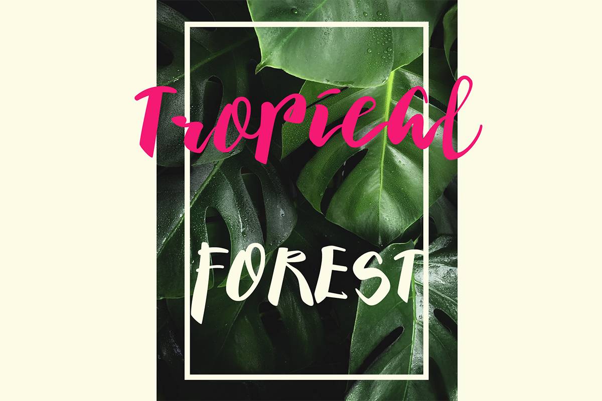 Barokatt Script Font sample
