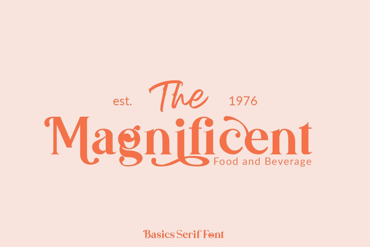 Basics Serif Font sample