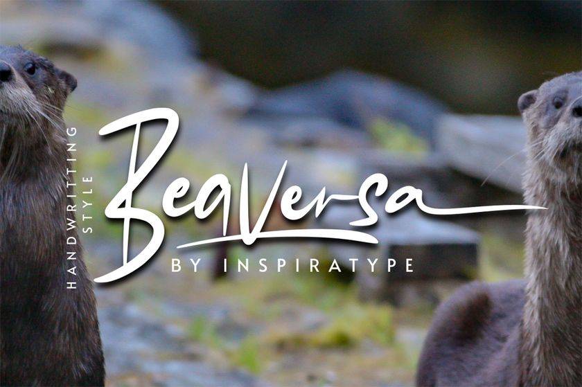 Beaversa Font sample