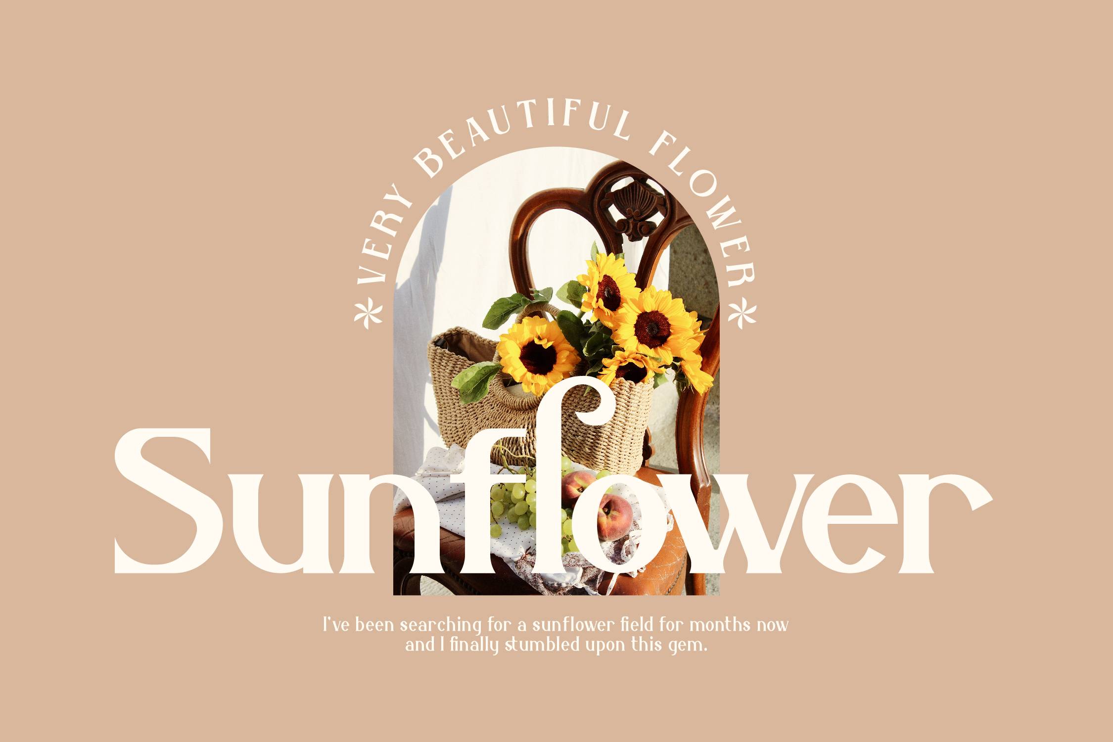 Belisha Font sample