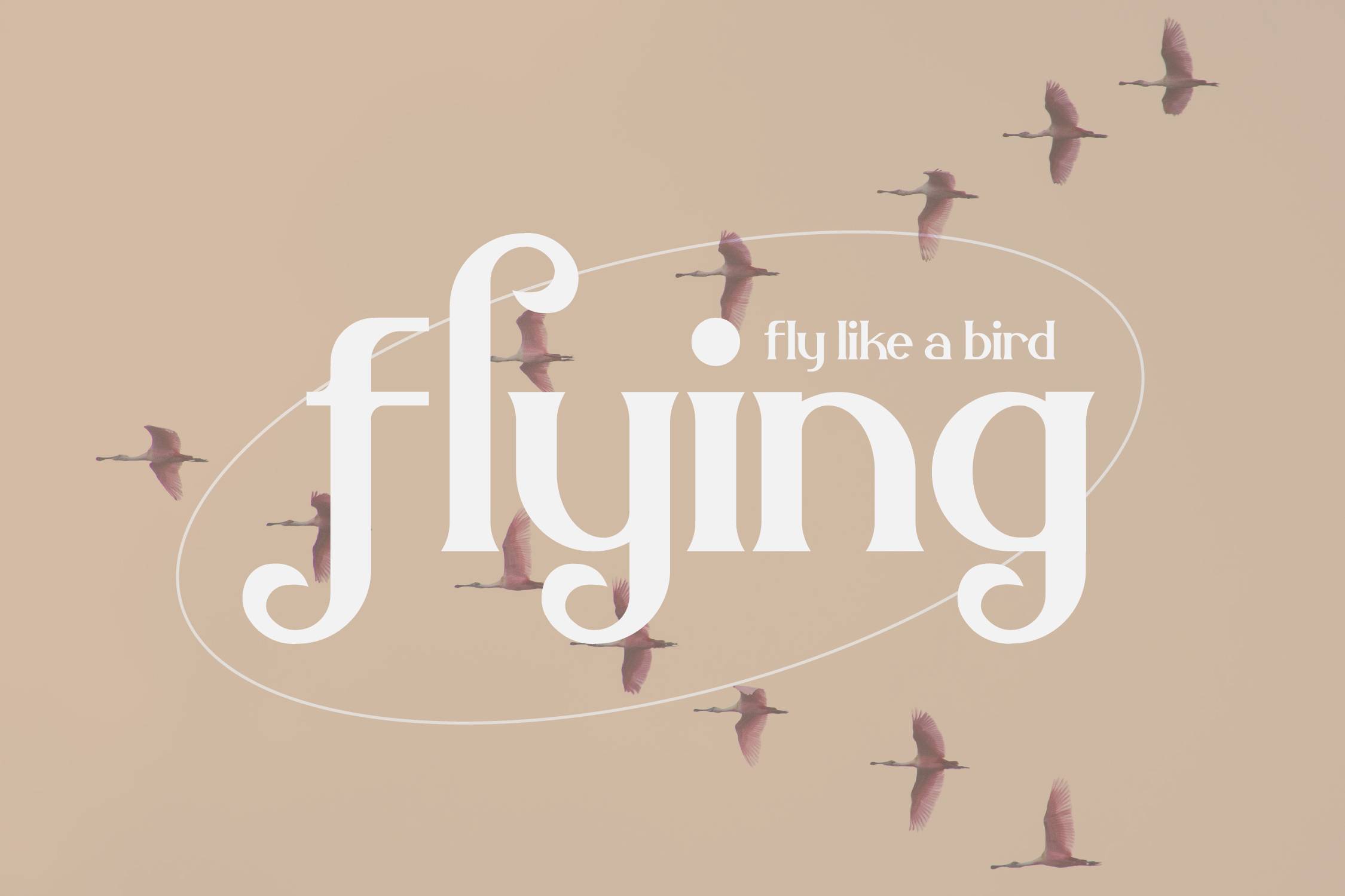 Belisha Font sample