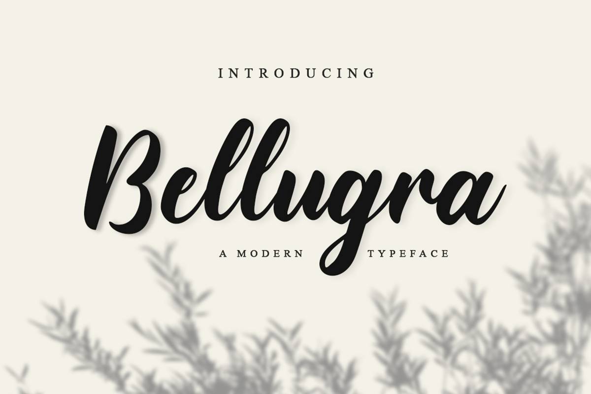 Bellugra Script Font sample