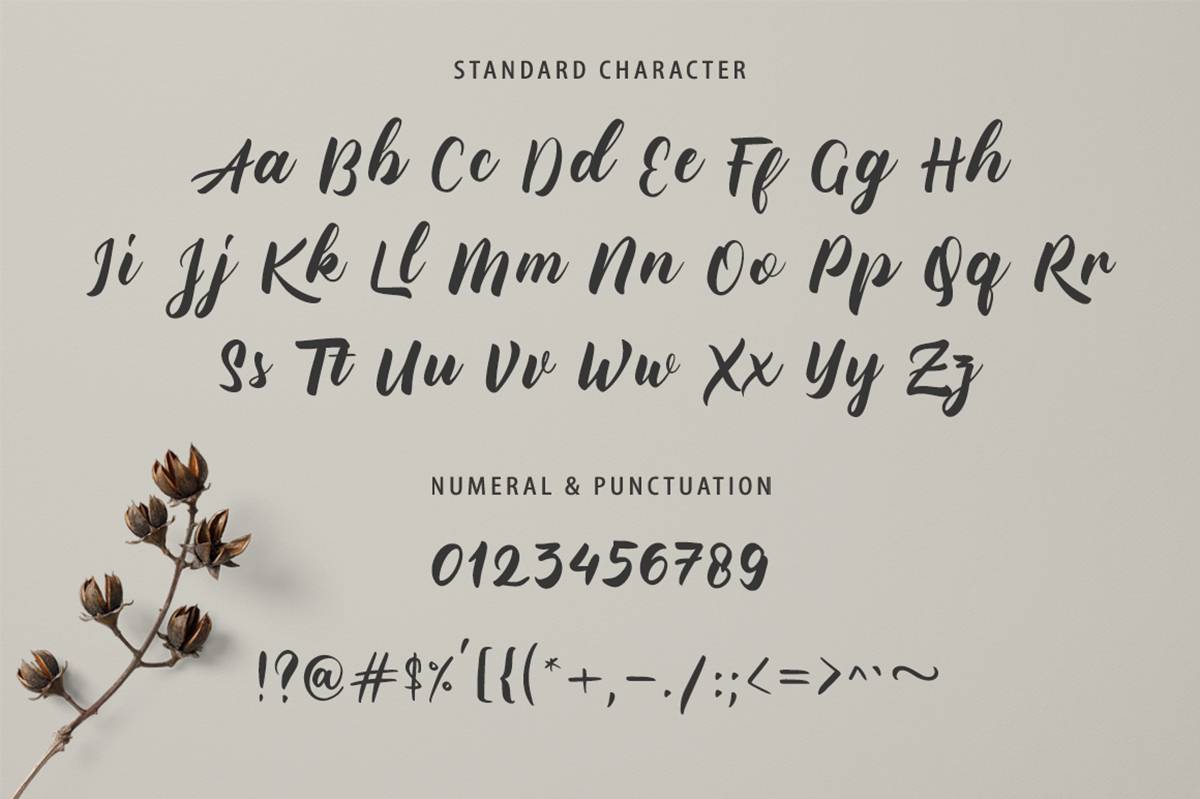 Bellugra Script Font sample