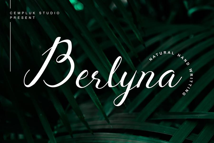 Berlyna Script Font Demo sample