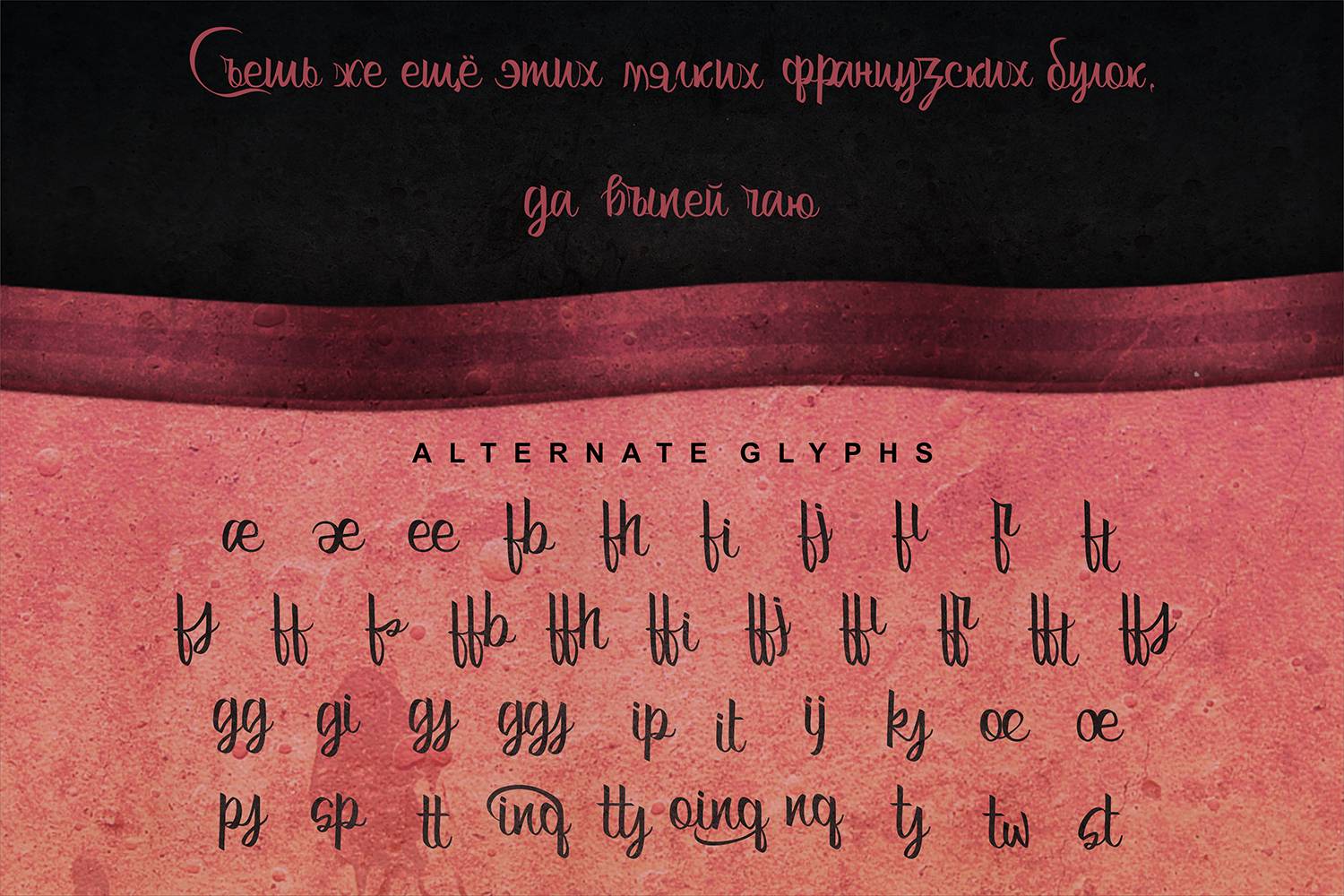 Bertha Font sample