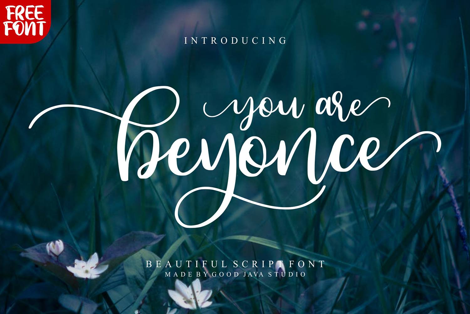 Beyonce Font sample