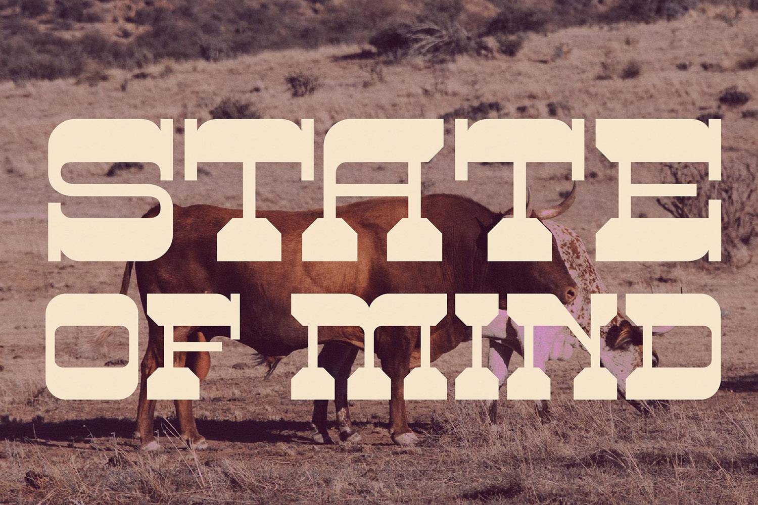 Big Rodheo Font sample