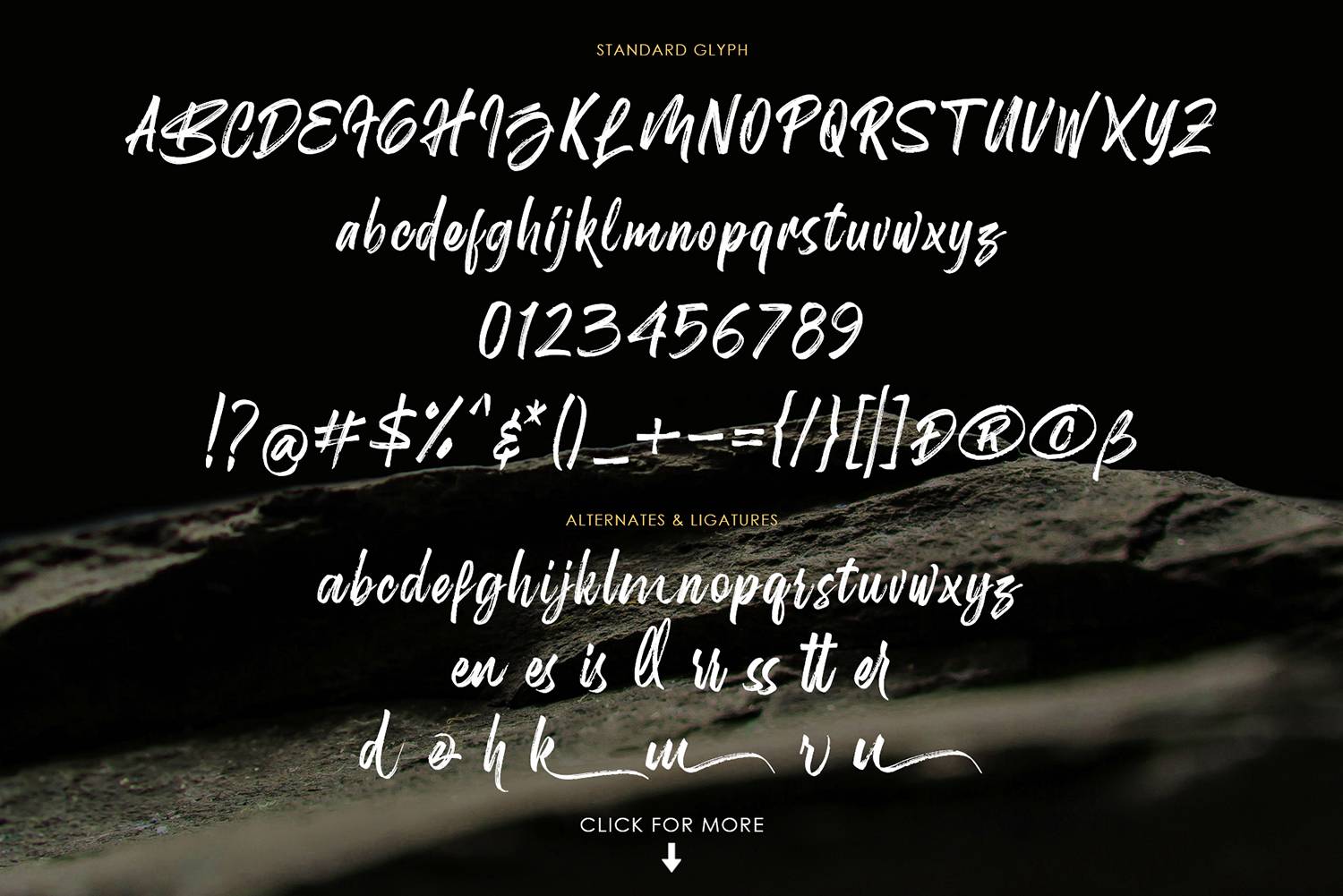 Birdrockers Font sample