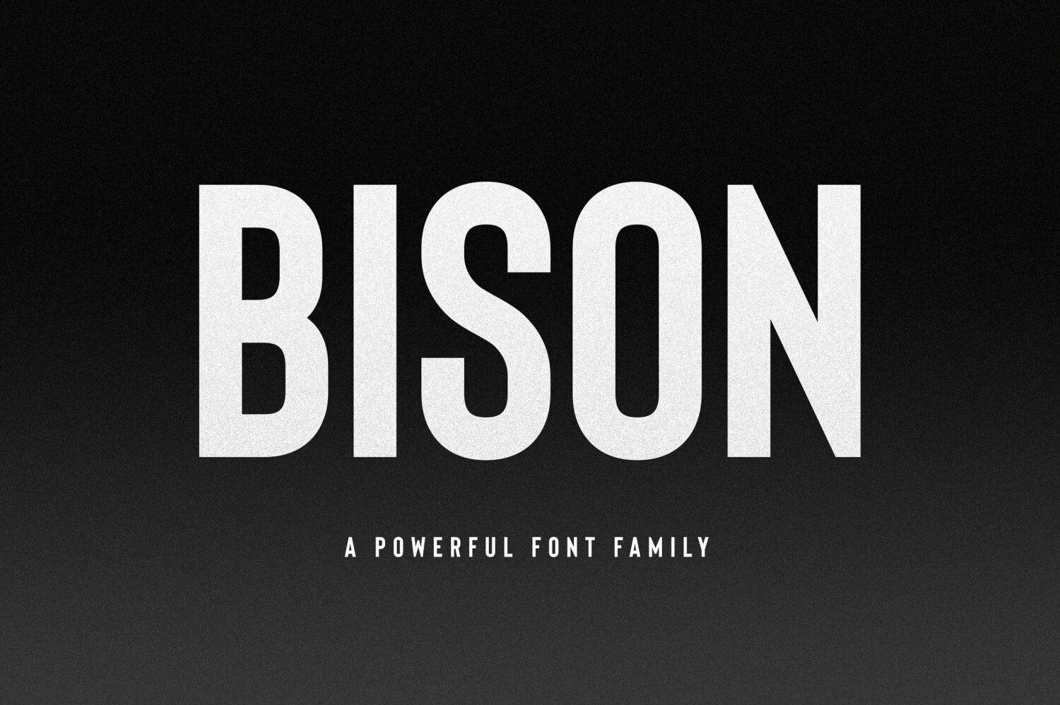 Bison Font Family sample