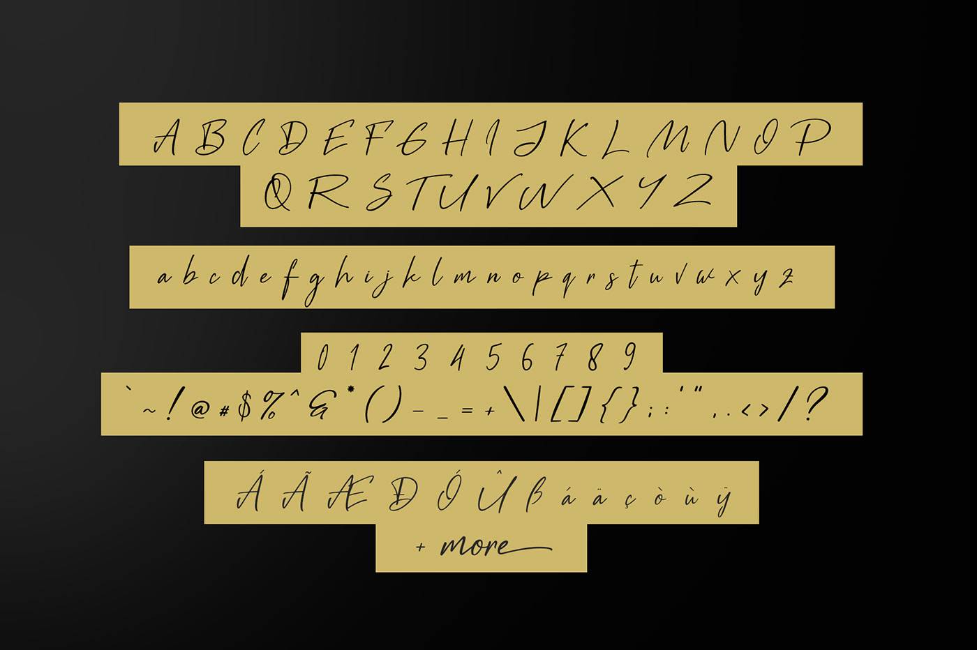 Black Pen Script Demo Font sample