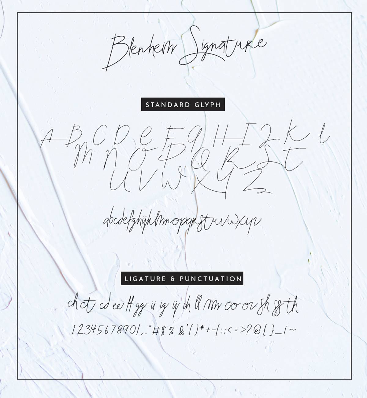 Blenheim Signature Font sample