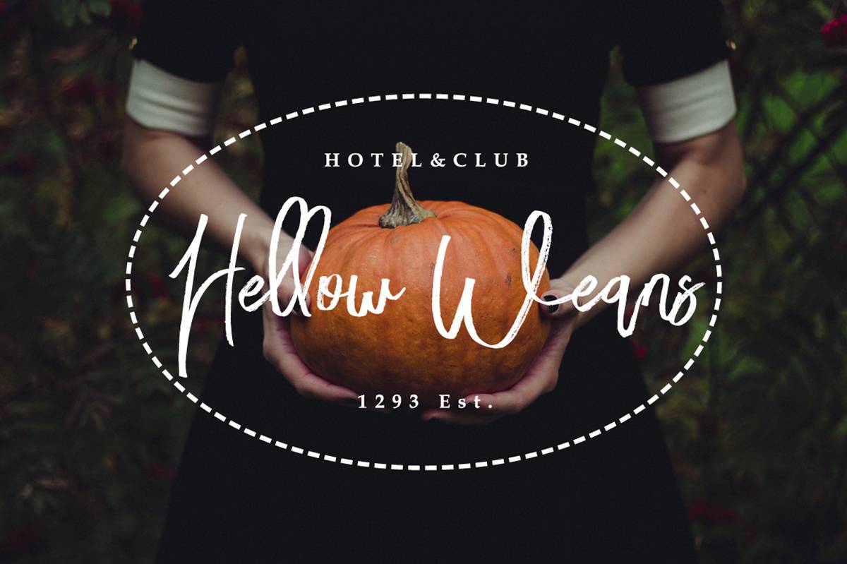 Bloomy Script Font sample
