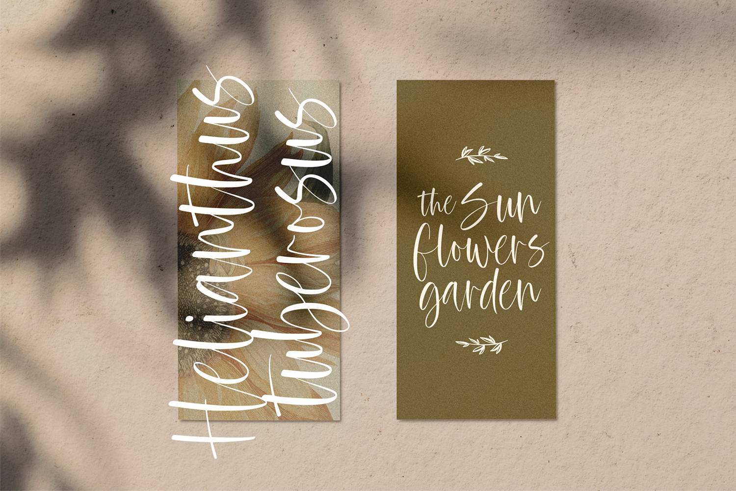 Bohemis Font sample