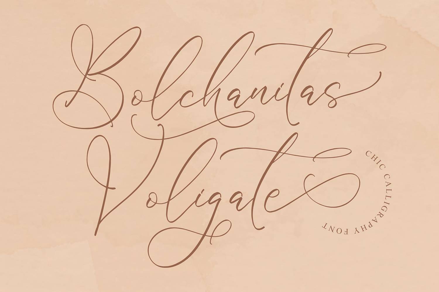 Bolchanitas Voligate Font sample
