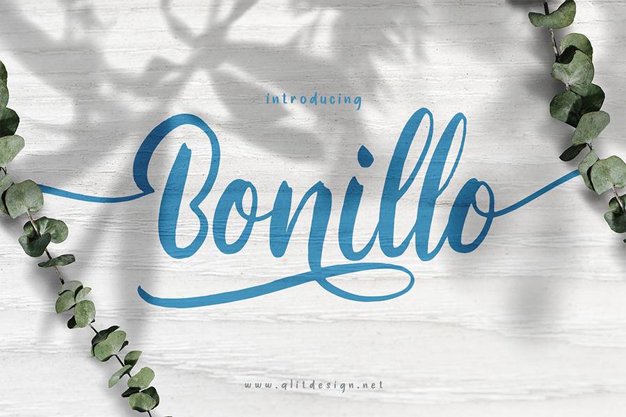 Bonillo Handlettering Script Font sample
