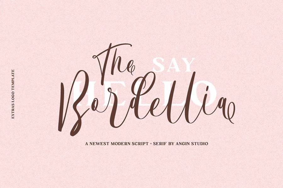 Bordellia Script Lettering Font sample